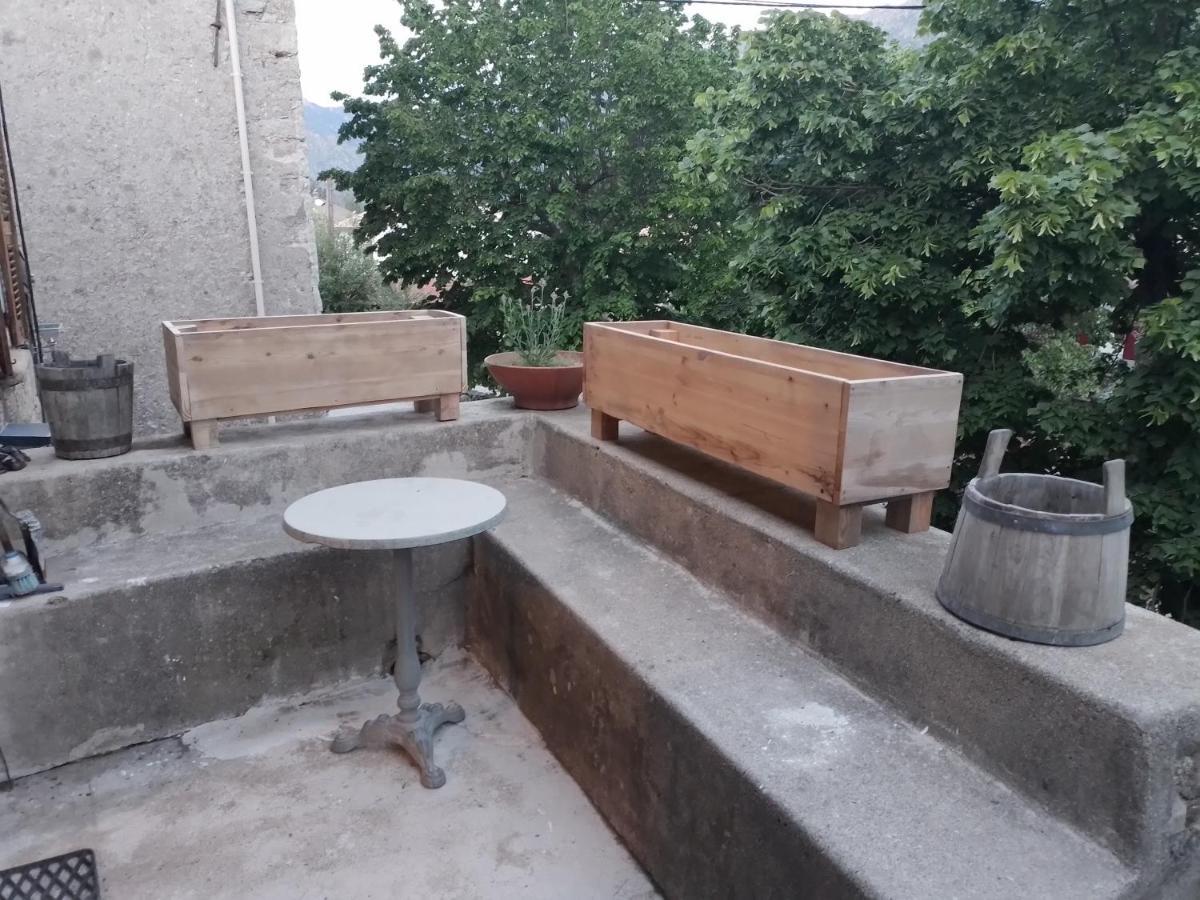 Maison De Caractere Au Coeur De La Corse Rurale Calacuccia Eksteriør billede